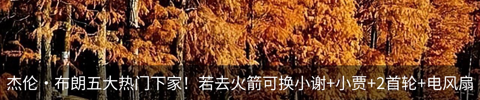 最新动态